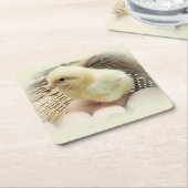 バスケットのかわいく柔らかく黄色いベビーの鶏 スクエアペーパーコースター (アングル)