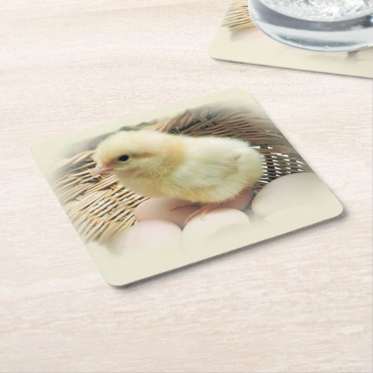 バスケットのかわいく柔らかく黄色いベビーの鶏 スクエアペーパーコースター (アングル)