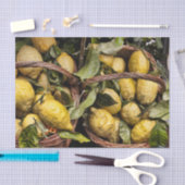 バスケットのイタリアンなレモン 薄葉紙 (クラフト)