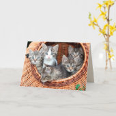 バスケットのグリーティングカードに入った子猫 カード (黄色い花)