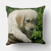 バスケットのゴールデン・リトリーバーの子犬 クッション (裏面)