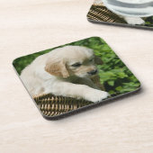 バスケットのゴールデン・リトリーバーの子犬 コースター (左側)