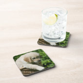 バスケットのゴールデン・リトリーバーの子犬 コースター (右側)