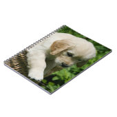 バスケットのゴールデン・リトリーバーの子犬 ノートブック (左側)