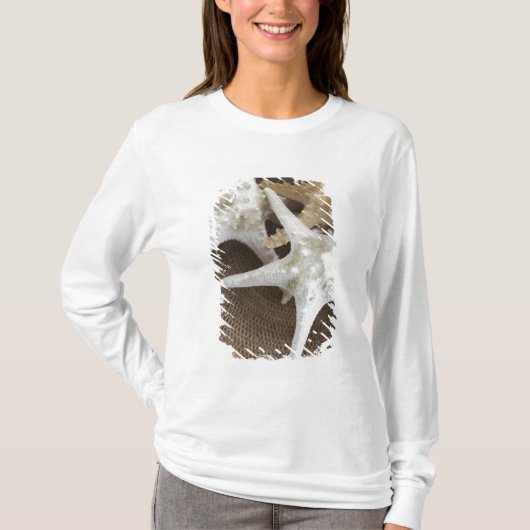 バスケットのヒトデ Tシャツ (正面)