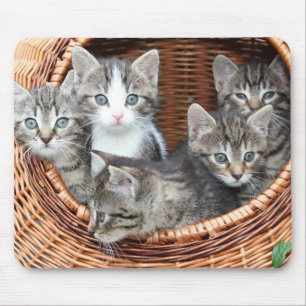バスケットのマウスパッドの子猫猫の子ネコ マウスパッド