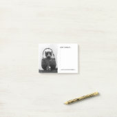 バスケットのヴィンテージの写真の猫 ポストイット (デスク上)