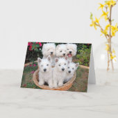 バスケットの中のウェスティーズ カード (黄色い花)