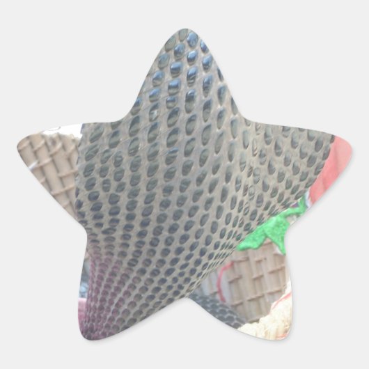 バスケットの中のコブラ アートプリント 星シール (正面)