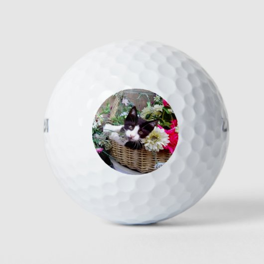 バスケットの中の子猫 ゴルフボール (正面)