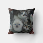 バスケットの子ネコ クッション (裏面)