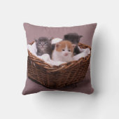 バスケットの子ネコ クッション (裏面)