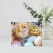 バスケットの郵便はがきのイースターひよこ シーズンポストカード (スタンド正面)