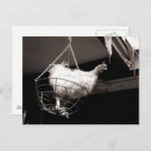 バスケットの鶏 ポストカード (正面/裏面)