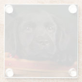 バスケットの黒いラブラドル・レトリーバー犬の子犬 ガラスコースター (裏面)