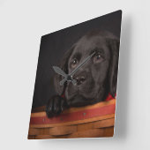 バスケットの黒いラブラドル・レトリーバー犬の子犬 スクエア壁時計 (傾斜)