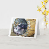 バスケットの3匹のラット カード (黄色い花)