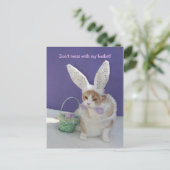 バスケットを台無しにするな！ ポストカード (スタンド正面)