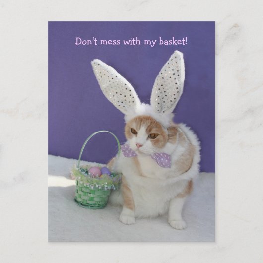 バスケットを台無しにするな！ ポストカード (正面)