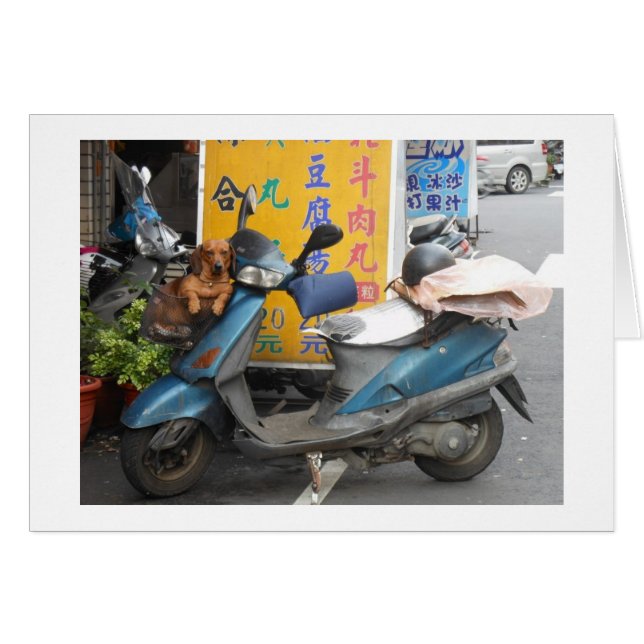 バスケットカードのDoxie (正面横)