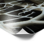 バスケットスター(Gorgonocephalus eucnemis) -ファインアート フォトプリント (角)