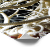 バスケットスター(Gorgonocephalus eucnemis) – ポスター (角)