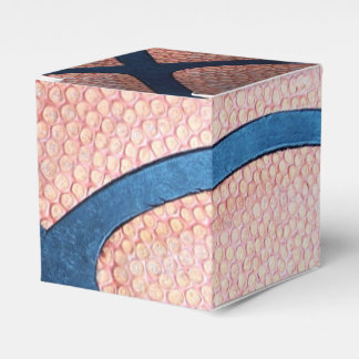 バスケットボールの好意ボックス フェイバーボックス