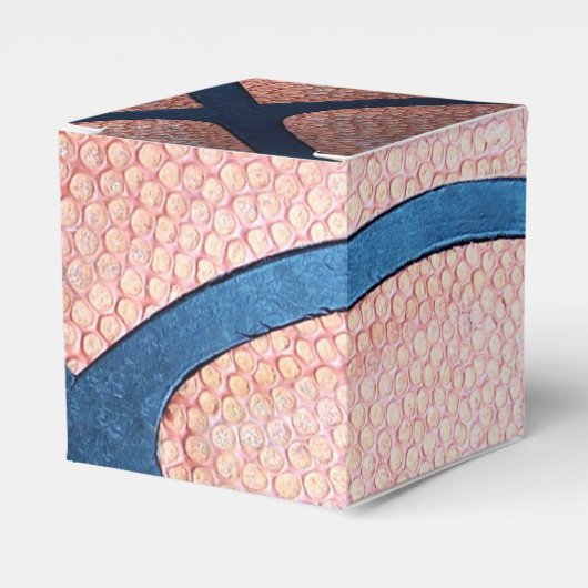 バスケットボールの好意ボックス フェイバーボックス (正面サイド)