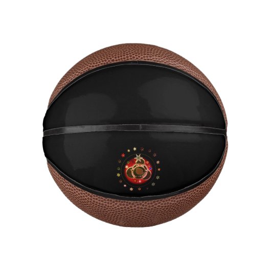 バスケットボールスター ミニバスケットボール (正面)