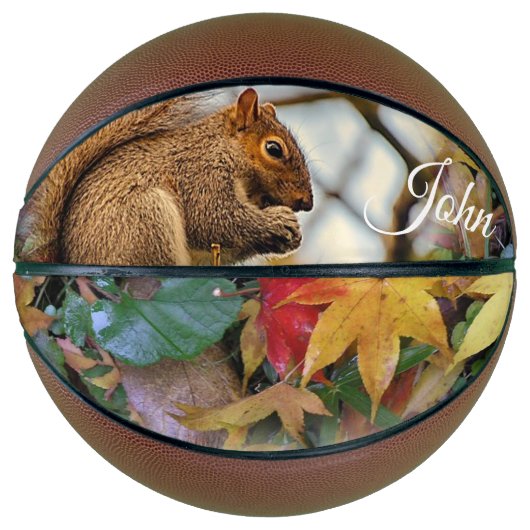 バスケットボールリス バスケットボール (正面)