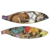 バスケットボールリス バスケットボール (パネル)