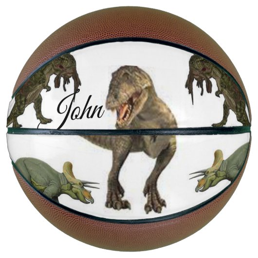 バスケットボール恐竜 バスケットボール (正面)