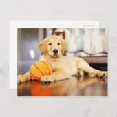 バスケットボール玩具付ゴールデンレトリバー ポストカード (正面/裏面)