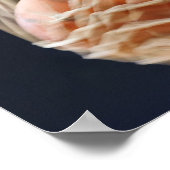 バスケット入りのバスケットボール。 ポスター (角)