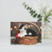 バスケット内の子猫 シーズンポストカード (スタンド正面)