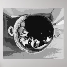 バスケット猫ポスター