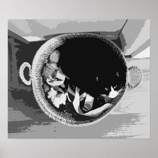 バスケット猫ポスター ポスター (正面)