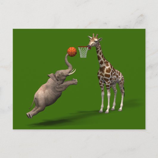 バスケッ最高のトルの得点選手 ポストカード (正面)