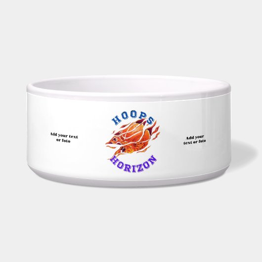 バスケ地平線 ボウル (正面)