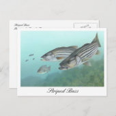 バスストライプのの絵画ポストカード ポストカード (正面/裏面)