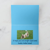 バスセットハウンドは良いカードを得る。 カード (内部)