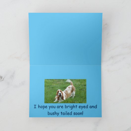 バスセットハウンドは良いカードを得る。 カード (内部)