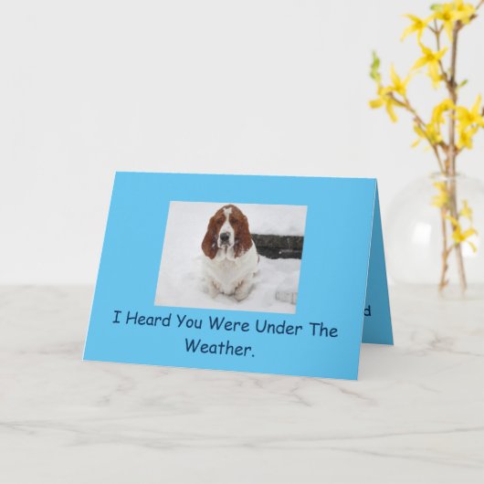 バスセットハウンドは良いカードを得る。 カード (黄色い花)