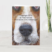 バスセットハウンドカード カード (裏面)