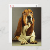 バスセットハウンドパピードグハローラヴ考えィズ、あなたのね ポストカード (正面/裏面)