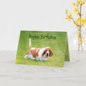 バスセット&ランチオンおもしろい誕生日カード カード (黄色い花)