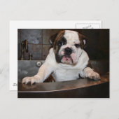 バスタイムポストカード ポストカード (正面/裏面)