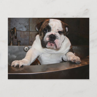 バスタイムポストカード ポストカード