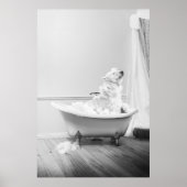 バスタブに入ったコアラ熊のポスター ポスター (正面)