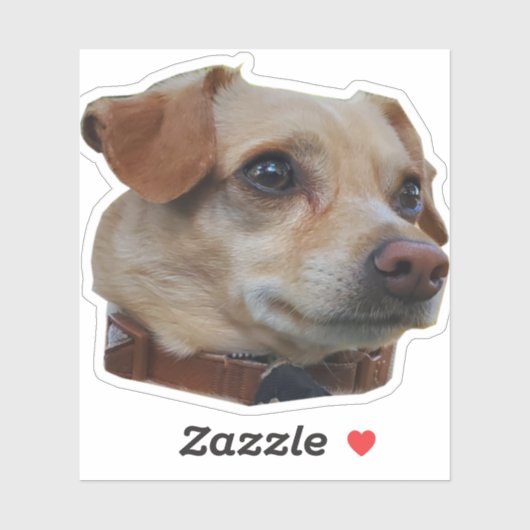 バスター・ステッカー シール (シート)